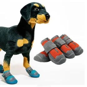 کفش سگ برند Generic