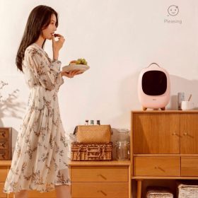 ميني يخچال و گرمكن بيسوس