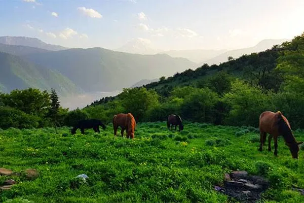 جنگل‌های هیرکانی الیمستان