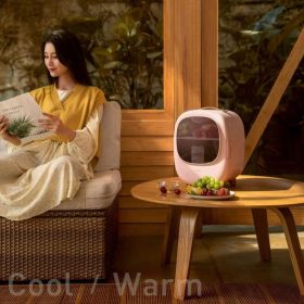 ميني يخچال و گرمكن بيسوس