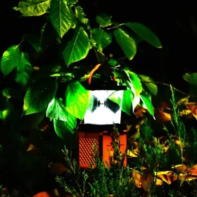 لامپ و پاوربانک اظطراری آب و نمک