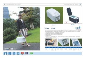 یخچال سرد و گرم خودرو مسافرتی evercool 16 L