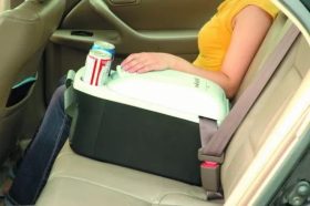 یخچال سرد و گرم خودرو مسافرتی evercool 16 L