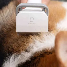 شانه و موزر موی حیوانات خانگی