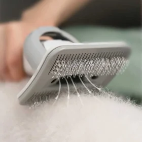 شانه و موزر موی حیوانات خانگی