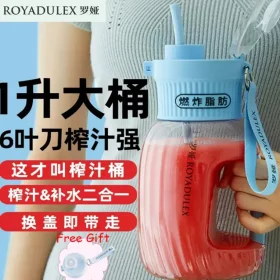 مخلوط کن قابل حمل مدل ROYADULEX